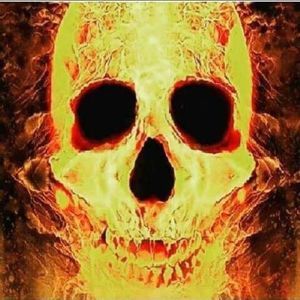 Meet your Posher, Lawrence